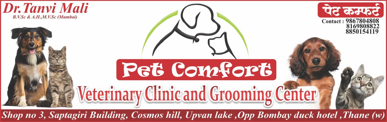 Pet Comfort