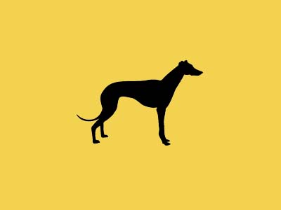 All 4 Pet Care